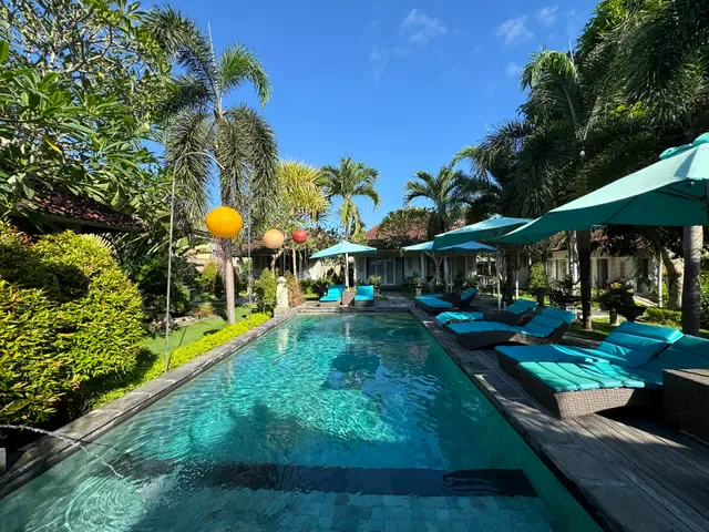The palm grove villas
