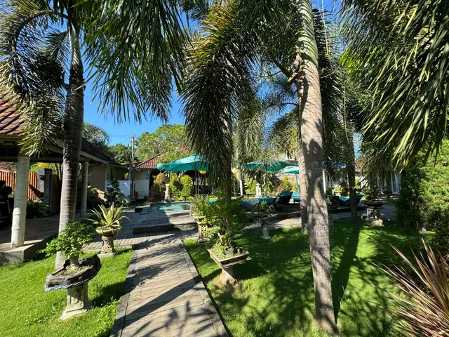 The palm grove villas
