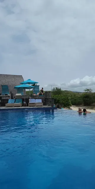The palm grove villas