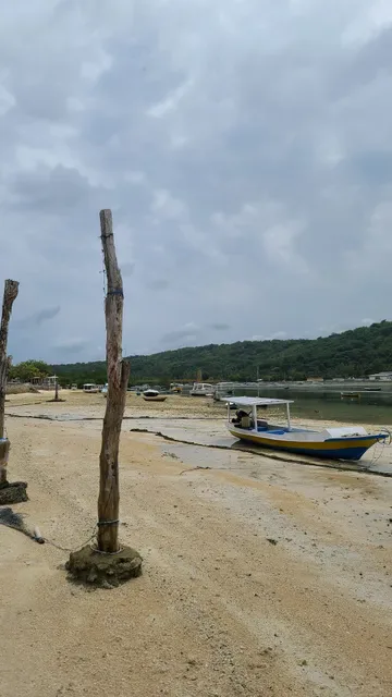 The palm grove villas