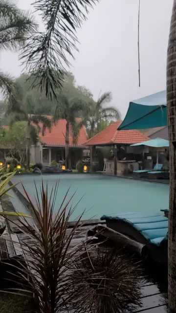 The palm grove villas