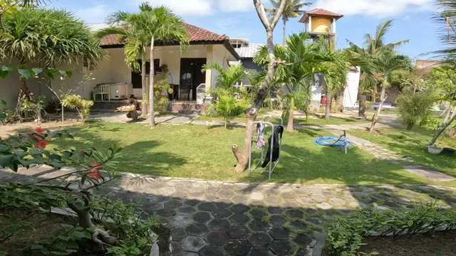 TIKI BAR & MORE