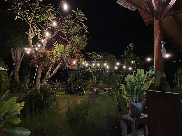 Warung Cassava