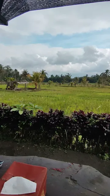 Warung J. Pudak
