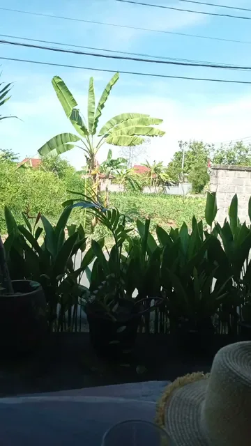 Wikandar Grill Lembongan