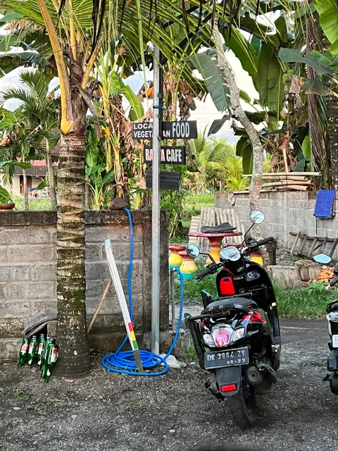 Rasta Cafe
