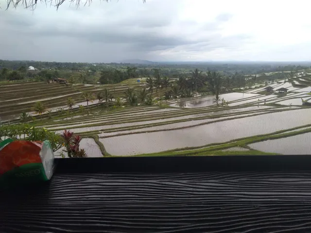 Green Talas