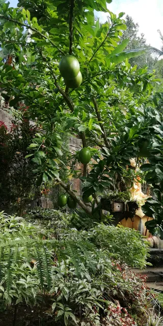 Nami Rasa Restaurant