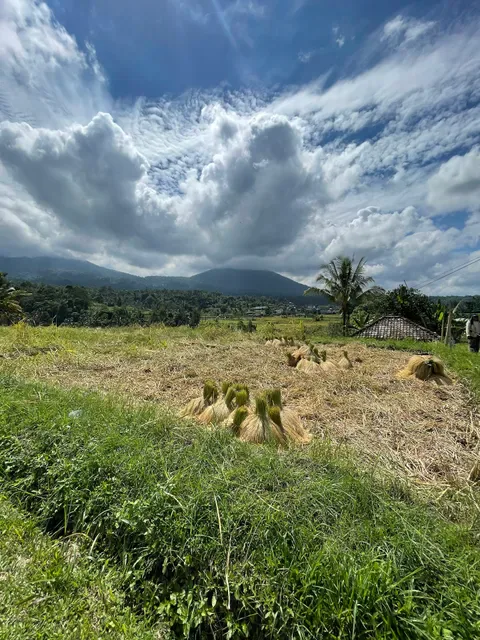The Rustic Bali