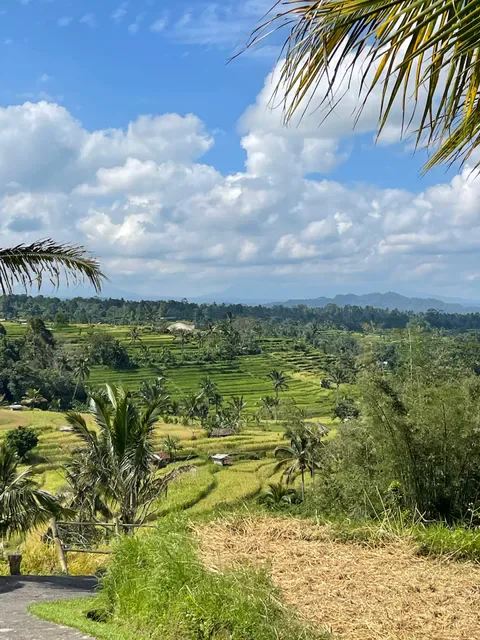 The Rustic Bali