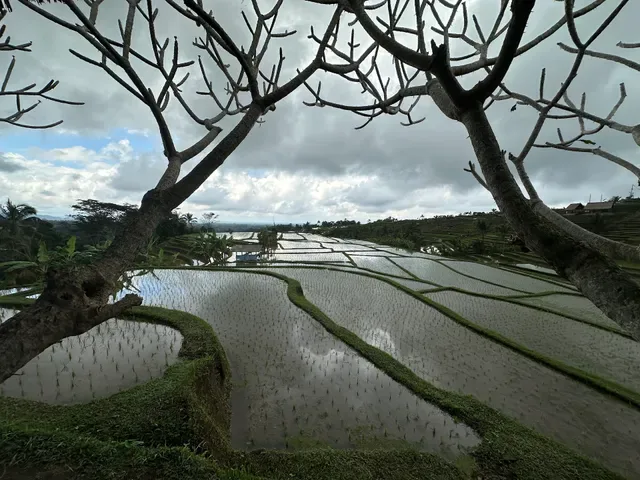 The Rustic Bali