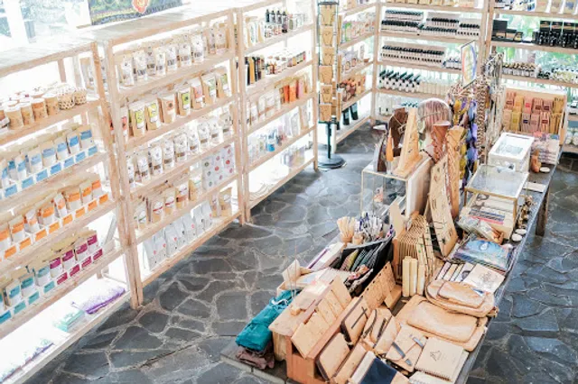 Alchemy Bali