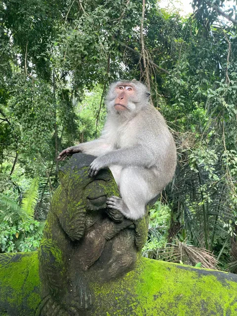 Bali Bohemia