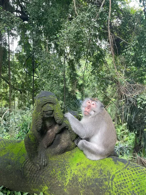 Bali Bohemia