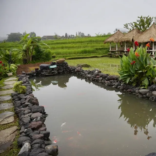 CataVaca Jatiluwih