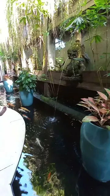 Clear Cafe