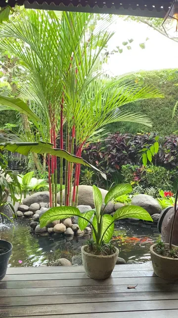 Fancy Cup Cafe Ubud