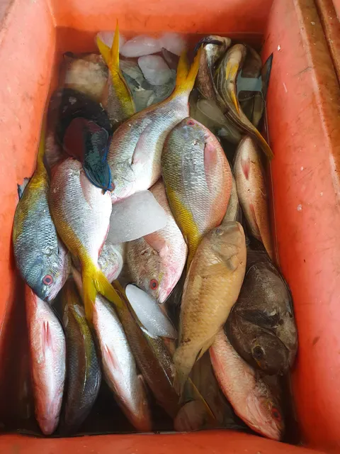 Grilled Fish "Tanjung Alam"