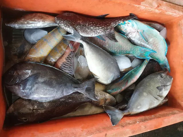 Grilled Fish "Tanjung Alam"