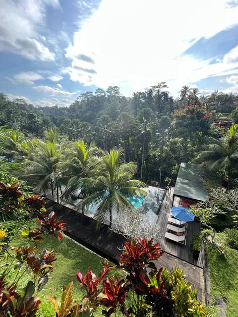 Jungle Fish Bali