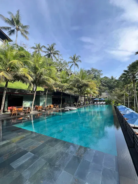 Jungle Fish Bali