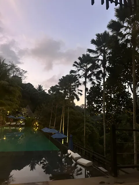 Jungle Fish Bali