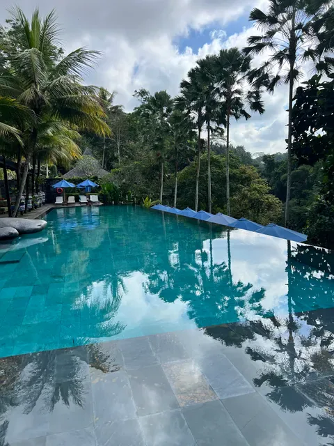 Jungle Fish Bali