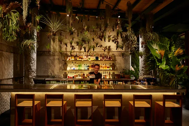 Kaum Bali