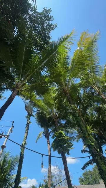 La Brisa Bali | Beach Club