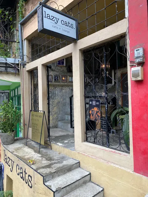 Lazy Cats Cafe