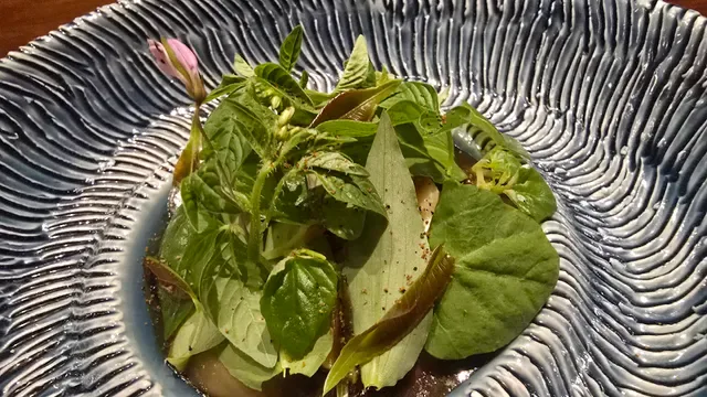 Locavore NXT