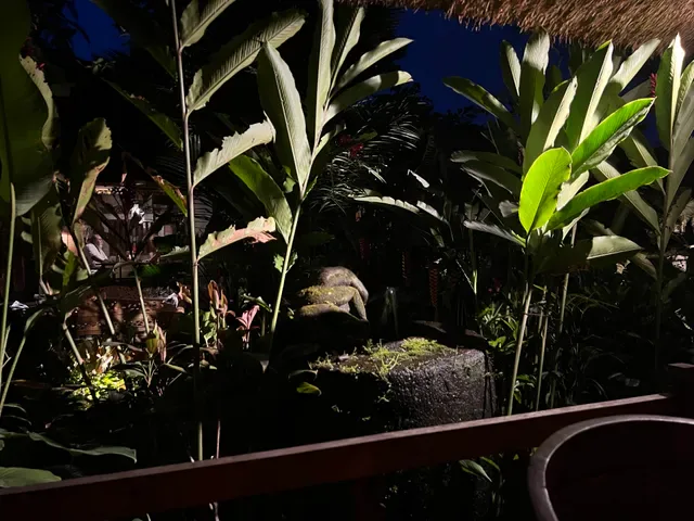 Miro's Garden Restaurant
