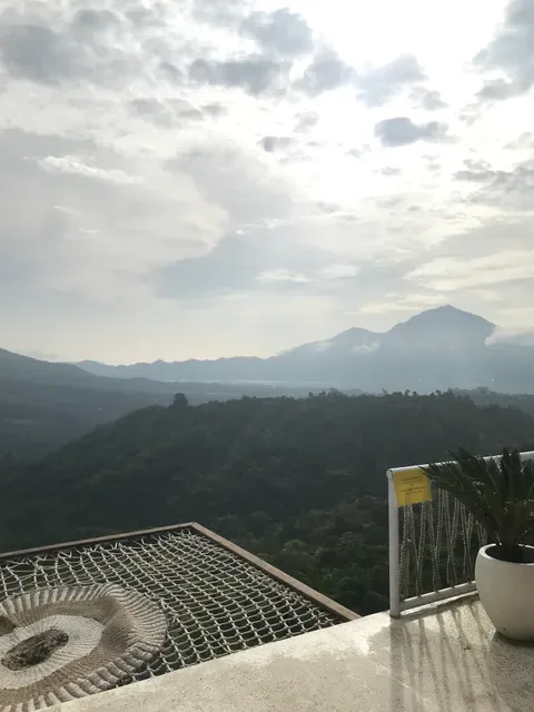 Montana Del Cafe