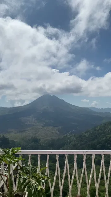 Montana Del Cafe