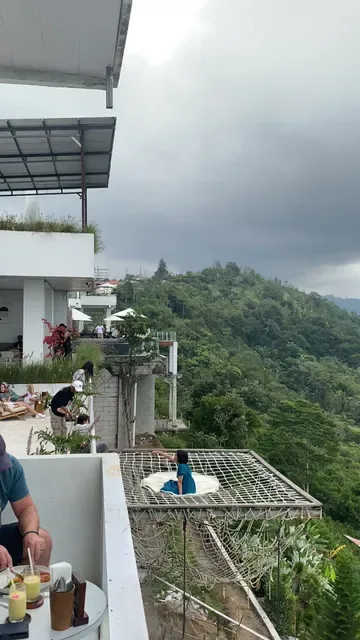 Montana Del Cafe