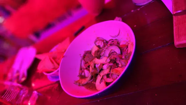 Motel Mexicola