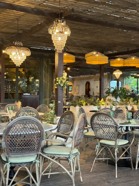 Plant Bistro