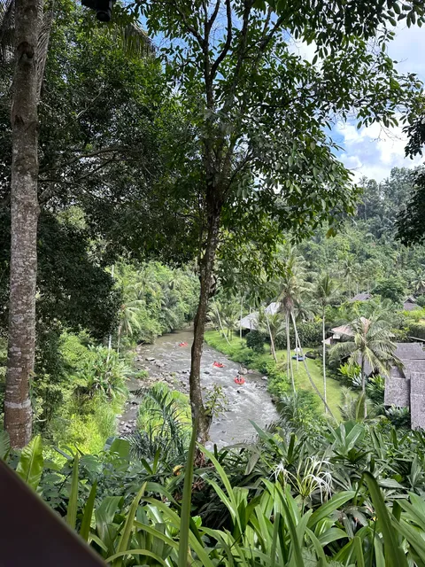Sawah Terrace