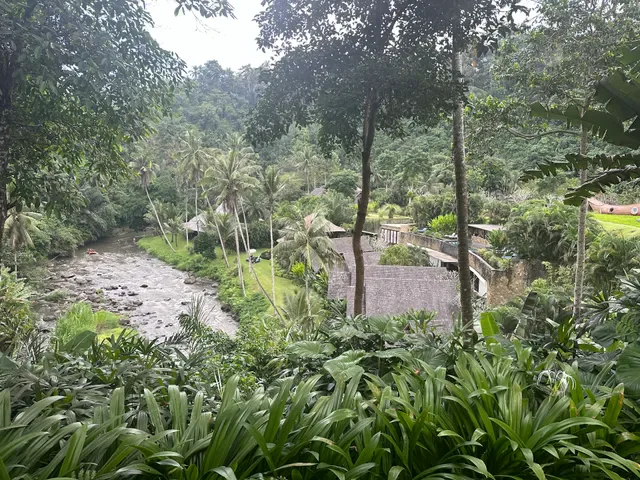 Sawah Terrace