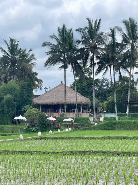 Terracotta Restaurant Ubud