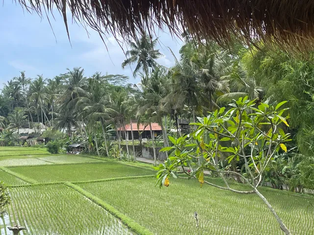 Terracotta Restaurant Ubud