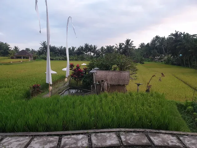 Terracotta Restaurant Ubud