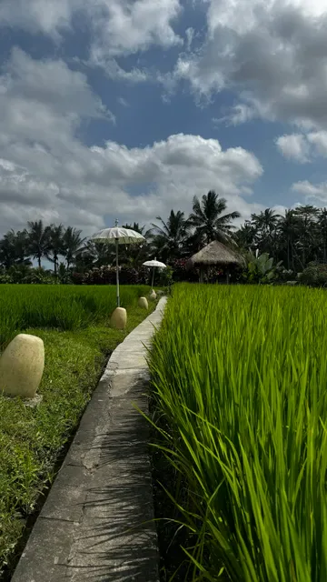 Terracotta Restaurant Ubud