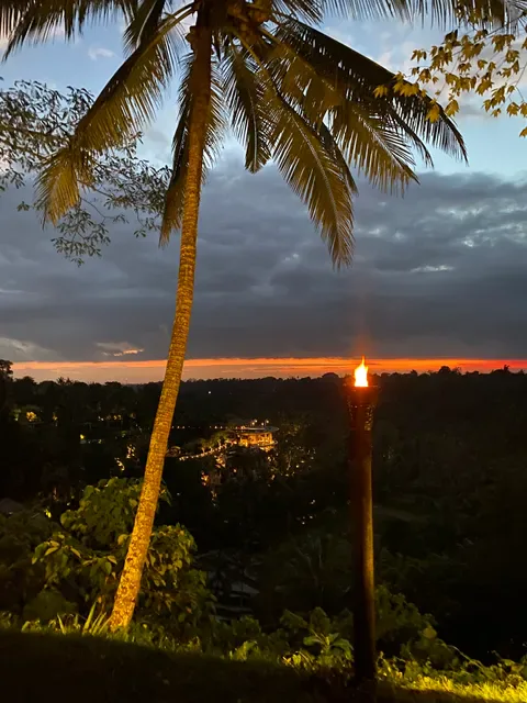 The Sayan House Restaurant Ubud