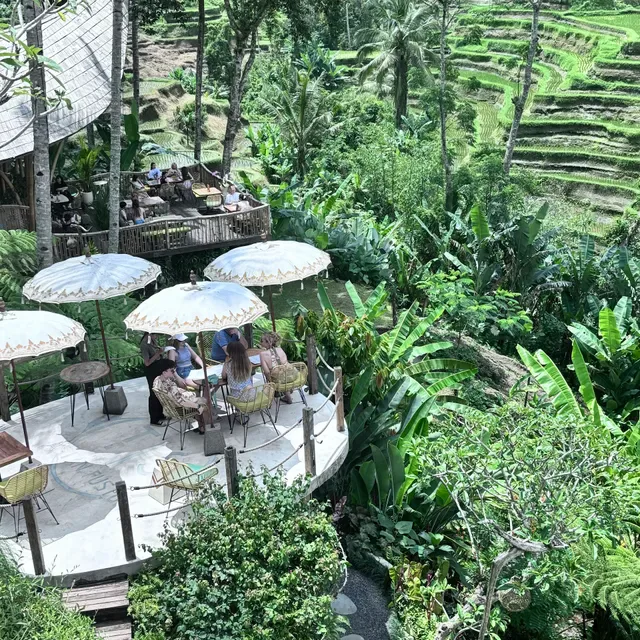 Tis Cafe