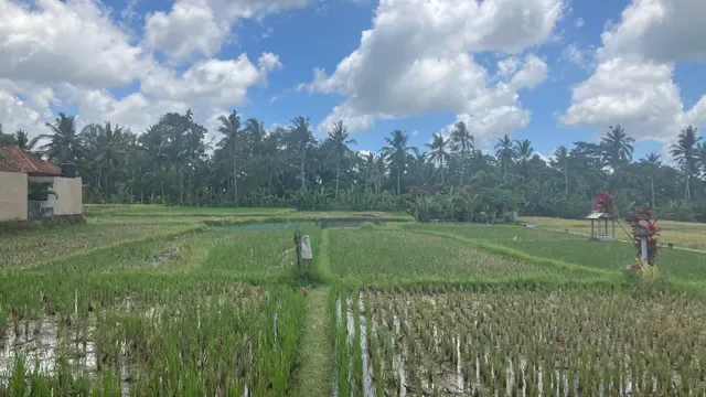 Warung d'Carik Ubud