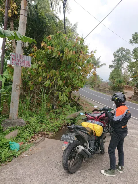 Warung Tepi Sawah