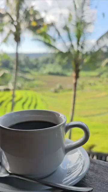 Warung Tepi Sawah