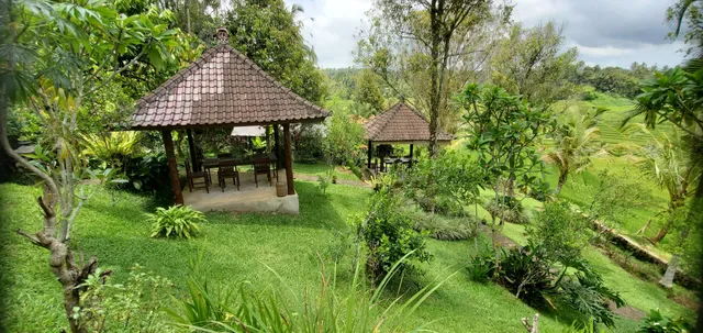 Warung Tepi Sawah
