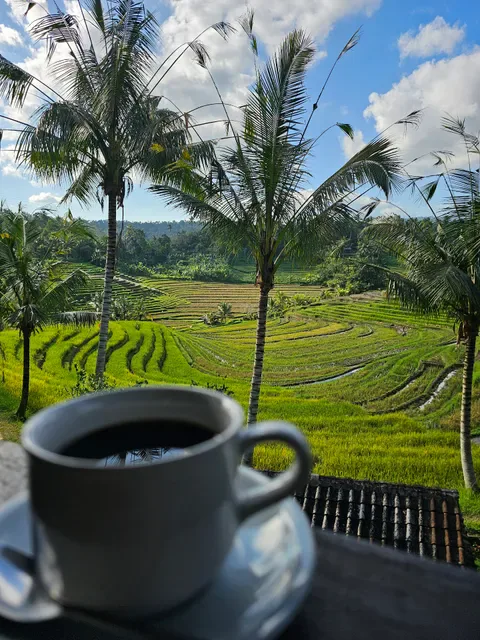 Warung Tepi Sawah